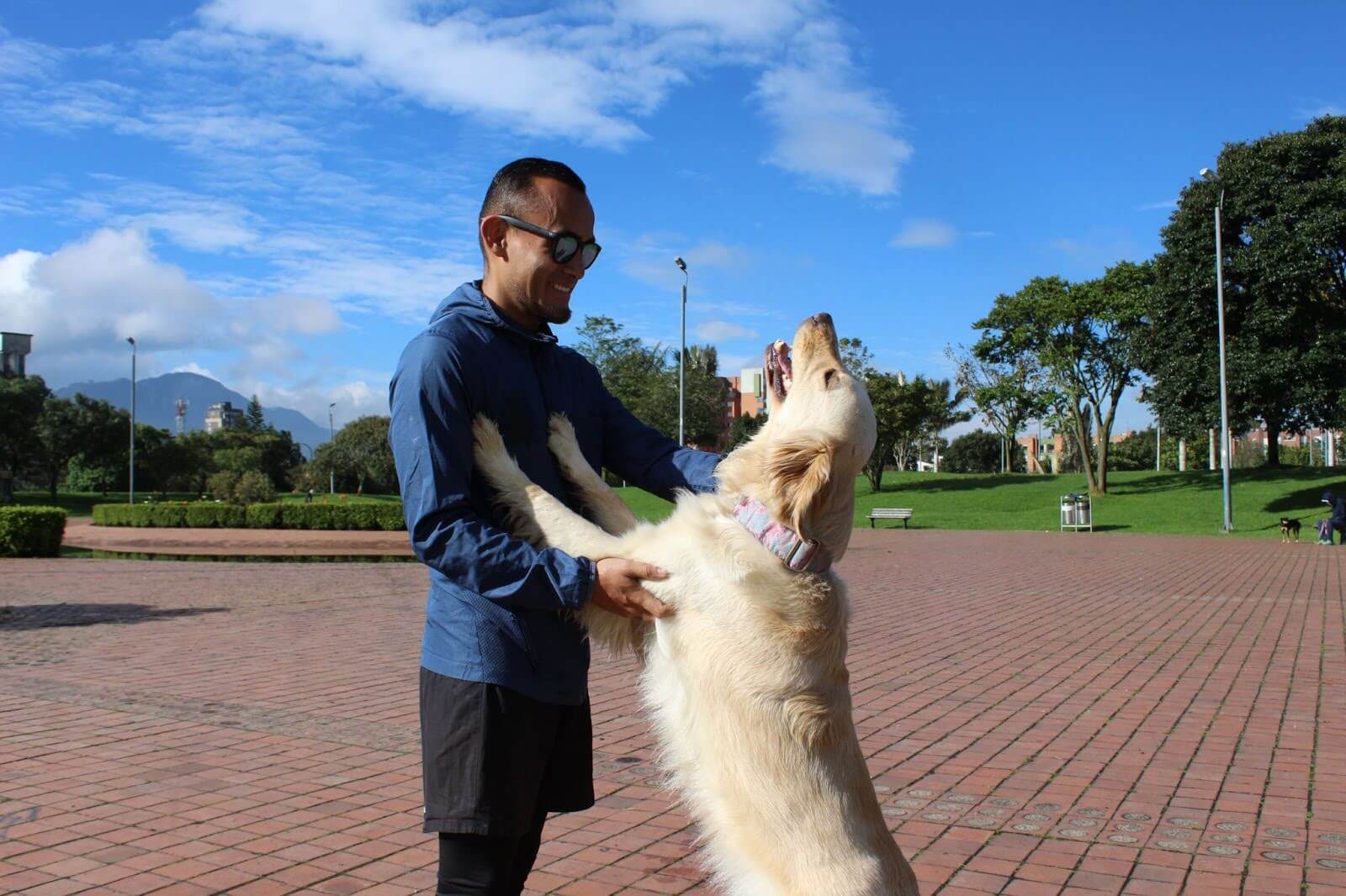 perro con su dueño en parque